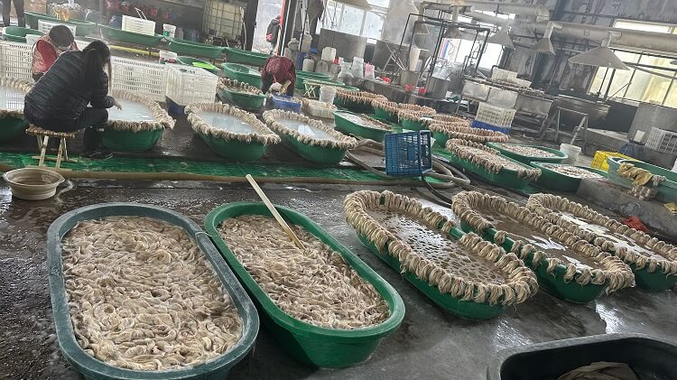 Hair Extensions Factory jiffy hair